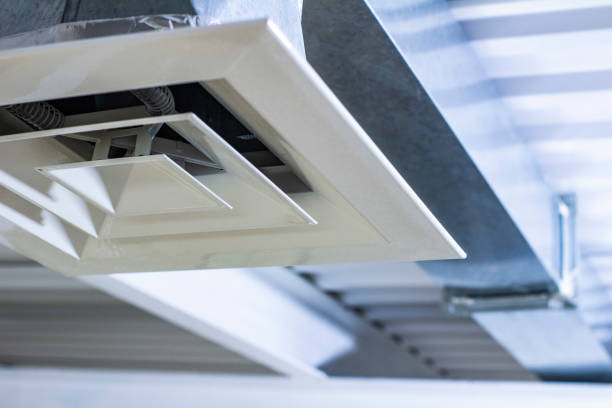 Best Professional Duct Cleaning Services  in Savannah, TN