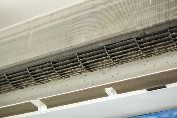 Best Ventilation Cleaning Services  in Savannah, TN